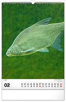 NOTIQUE Nástenný kalendár Rybářský – Rybársky CZ/SK 2027, 33 x 46 cm 2