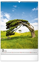 Nástenný kalendár Stromy 2024, 33 × 46 cm 2