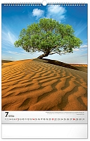 Nástenný kalendár Stromy 2024, 33 × 46 cm 7