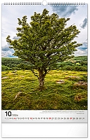 Nástenný kalendár Stromy 2024, 33 × 46 cm 10