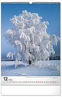 Nástenný kalendár Stromy 2024, 33 × 46 cm 12