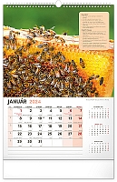 Nástenný Včelársky kalendár 2024, 33 × 46 cm  1