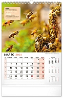 Nástenný Včelársky kalendár 2024, 33 × 46 cm  3