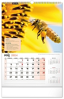 Nástenný Včelársky kalendár 2024, 33 × 46 cm  5