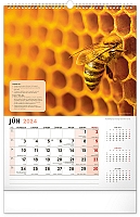 Nástenný Včelársky kalendár 2024, 33 × 46 cm  6