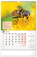 Nástenný Včelársky kalendár 2024, 33 × 46 cm  7