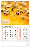 Nástenný Včelársky kalendár 2024, 33 × 46 cm  9