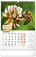 Nástenný Včelársky kalendár 2024, 33 × 46 cm  10