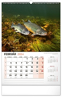 Nástenný kalendár Rybársky 2024, 33 × 46 cm 2