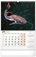 Nástenný kalendár Rybársky 2024, 33 × 46 cm 6