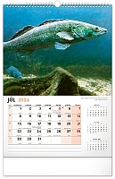 Nástenný kalendár Rybársky 2024, 33 × 46 cm 7