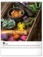 Nástenný kalendár Korenie a bylinky 2024, 30 × 34 cm 9