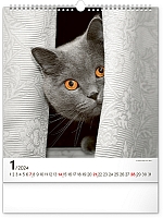 Nástenný kalendár Mačky 2024, 30 × 34 cm 1