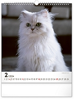 Nástenný kalendár Mačky 2024, 30 × 34 cm 2
