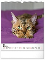 Nástenný kalendár Mačky 2024, 30 × 34 cm 3