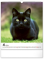 Nástenný kalendár Mačky 2024, 30 × 34 cm 4