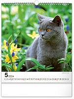 Nástenný kalendár Mačky 2024, 30 × 34 cm 5
