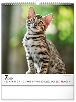 Nástenný kalendár Mačky 2024, 30 × 34 cm 7