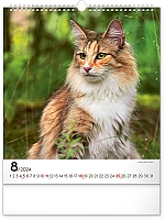 Nástenný kalendár Mačky 2024, 30 × 34 cm 8