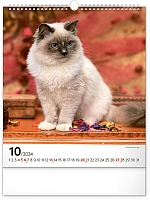 Nástenný kalendár Mačky 2024, 30 × 34 cm 10