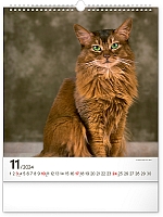 Nástenný kalendár Mačky 2024, 30 × 34 cm 11