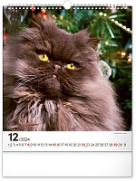 Nástenný kalendár Mačky 2024, 30 × 34 cm 12