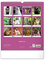 Nástenný kalendár Mačky 2024, 30 × 34 cm 14