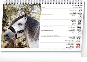 Stolový kalendár Koně – Kone CZ/SK 2024, 23,1 × 14,5 cm 1