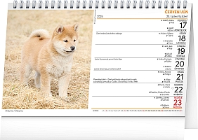 Stolový kalendár Psi – Psy CZ/SK 2024, 23,1 × 14,5 cm 1