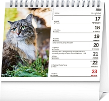 Stolový kalendár Mačky – s menami mačiek 2024, 16,5 × 13 cm 1