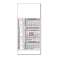 Plánovací kalendár ŠTANDARD 3M kombi 2024 