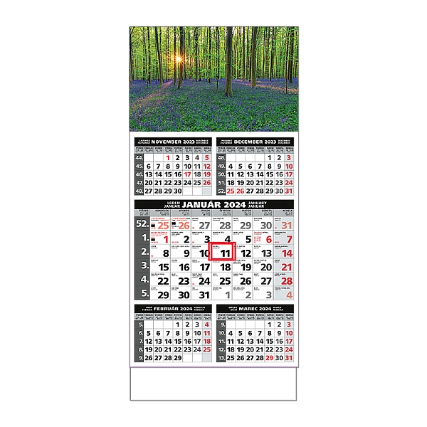 Plánovací kalendár ŠTANDARD 5M sivý 2024