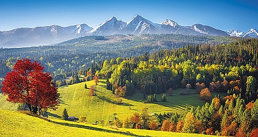 Nástenný kalendár 3-ŠPIRÁLOVÝ 2024 - Krajina 2