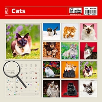 Kalendár Cats 14