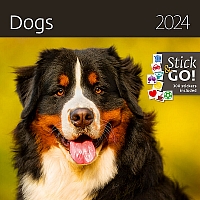 Kalendár Dogs 13