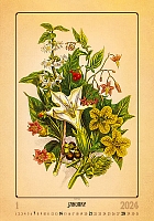 Kalendár Herbarium 1