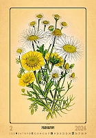 Kalendár Herbarium 2