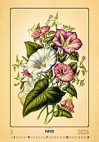 Kalendár Herbarium 3