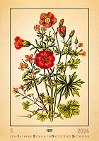 Kalendár Herbarium 5