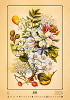 Kalendár Herbarium 6