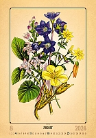 Kalendár Herbarium 8