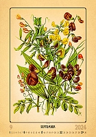 Kalendár Herbarium 9