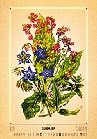 Kalendár Herbarium 12