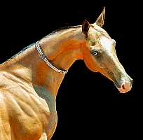 Kalendár Horses 3