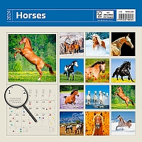 Kalendár Horses 14