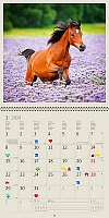 Kalendár Horses 15