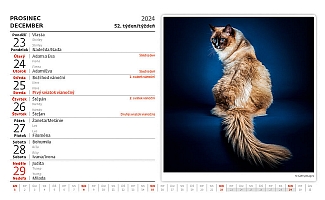 Kalendár Mačky 1