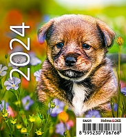 Kalendár Mini Puppies 2