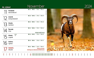 Poľovnický kalendár 1