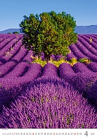 Kalendár Provence 4